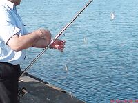 Утренняя разведка в порту: мелкая ставритка на самодур, пирс бодрит как зарядка