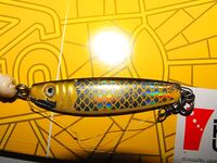 Фотоотчёт к Бургасу: снасти, улов и детали точки