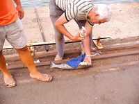 Порт Запад Бургас — вот это рыба: серия фото по улову