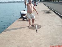 Бургас — отчёты Павела: 48 карагьозов 07.07 и 16 рыб 08.07 — что клюёт сегодня