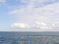 Балтика близко: треска круглый год, сарган весной и кунджа по погоде