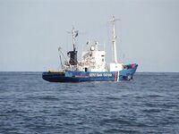 Балтика близко: треска круглый год, сарган весной и кунджа по погоде