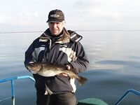 Балтика близко: треска круглый год, сарган весной и кунджа по погоде