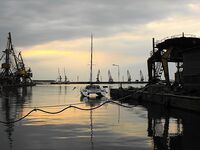 Жара 26–27° и хамса: ждём луфаря и паламиду, сарган по 3–4 — на бомбарду