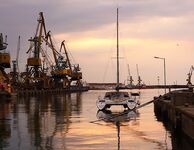 Жара 26–27° и хамса: ждём луфаря и паламиду, сарган по 3–4 — на бомбарду