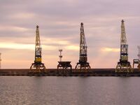 Жара 26–27° и хамса: ждём луфаря и паламиду, сарган по 3–4 — на бомбарду