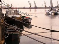 Жара 26–27° и хамса: ждём луфаря и паламиду, сарган по 3–4 — на бомбарду