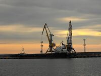 Жара 26–27° и хамса: ждём луфаря и паламиду, сарган по 3–4 — на бомбарду