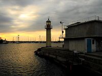 Жара 26–27° и хамса: ждём луфаря и паламиду, сарган по 3–4 — на бомбарду