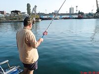 Портовая разведка: хамса, ставридка и тест Shimano Seido 4000FA