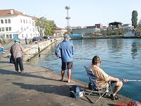 Портовая разведка: хамса, ставридка и тест Shimano Seido 4000FA