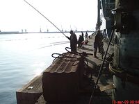 Портовая разведка: хамса, ставридка и тест Shimano Seido 4000FA