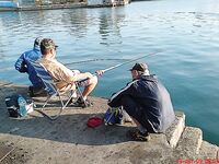 Портовая разведка: хамса, ставридка и тест Shimano Seido 4000FA