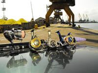 Ночная в порту — свет, пыль и хамса: 2,5 кг ставриды и хамсы, луфарь мальком