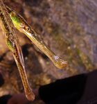 Греция без снастей и Болгария с креветкой: ветер в портах и «мертвая волна»