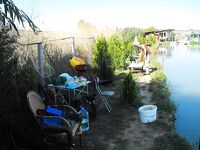 Платник, болгаро-русский сабантуй: Карпы и сомы, ФИН герой дня