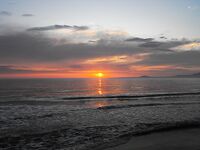 Черноморская ловля карагьоза на самодур в Бургасе: оснастка, перья и крупные рыбы