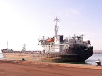 Черноморская ловля карагьоза на самодур в Бургасе: оснастка, перья и крупные рыбы