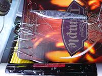 Карагьоз на самодур по полкило — «идёт на голову», сегодня ход мощный