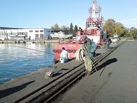 Утренние фото: фиксирую клев и море, без расшифровки по снастям