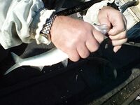 Утренние фото: фиксирую клев и море, без расшифровки по снастям