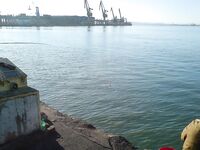 Утренние фото: фиксирую клев и море, без расшифровки по снастям