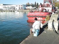 Утренние фото: фиксирую клев и море, без расшифровки по снастям