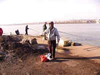 Солнце и бриз, а хищник притих: «олимпийский принцип» зашёл на день