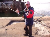 Солнце и бриз, а хищник притих: «олимпийский принцип» зашёл на день