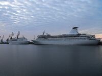 Перед дождём самодур молчал: южный ветер, 13–14 тепла и красивые кадры