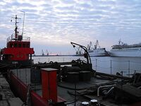 Перед дождём самодур молчал: южный ветер, 13–14 тепла и красивые кадры