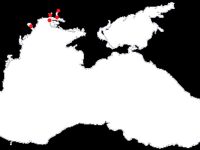 Морской судак — заметка об ареале и Бургасском заливе как точке карты