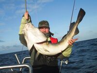 «Попадаются и такие» — ловим только безынерционкой, краткая пометка