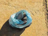 Пустая строка отчёта — дайте пару фактов: место, снасть, цель выезда