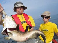 Балтика — морская рыбалка на джиг: 15–17 июля, пары по 8.2–9.5 кг