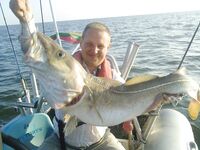 Балтика — морская рыбалка на джиг: 15–17 июля, пары по 8.2–9.5 кг