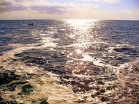 Только фото — короткая заметка: сезон, приманка и место были бы в тему