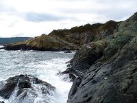 Только фото — короткая заметка: сезон, приманка и место были бы в тему