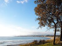 Только фото — короткая заметка: сезон, приманка и место были бы в тему