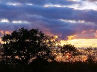 Только фото — короткая заметка: сезон, приманка и место были бы в тему