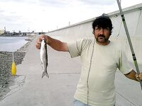 Только фото — короткая заметка: сезон, приманка и место были бы в тему