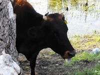 Фотки без слов 2 — хочется знать, что, где и на что сработало