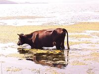 Фотки без слов 2 — хочется знать, что, где и на что сработало