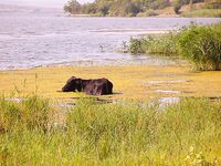 Фотки без слов 2 — хочется знать, что, где и на что сработало