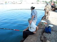Фотки без слов 2 — хочется знать, что, где и на что сработало