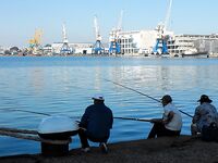 Фотки без слов 2 — хочется знать, что, где и на что сработало