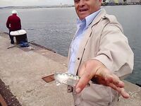 Фотки без слов 2 — хочется знать, что, где и на что сработало