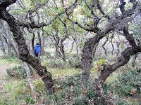 Фотки без слов 2 — хочется знать, что, где и на что сработало