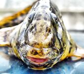 Фотки без слов 2 — хочется знать, что, где и на что сработало