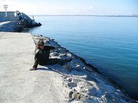 Фотки без слов 2 — хочется знать, что, где и на что сработало